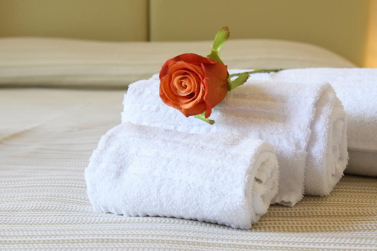 Domus Il Palio Bed & Breakfast Siena Dış mekan fotoğraf